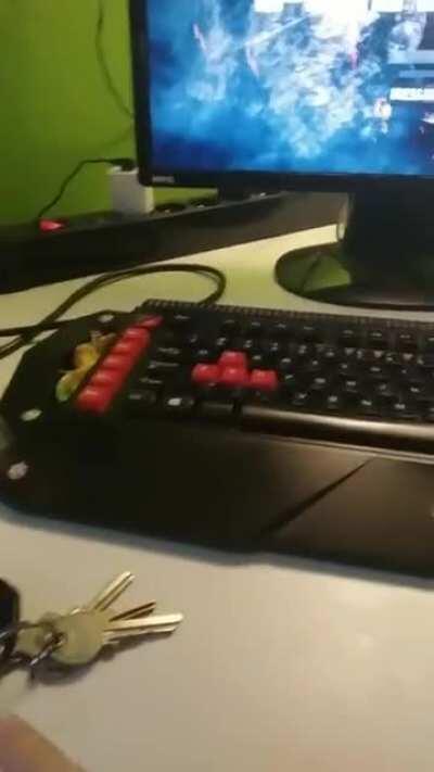 [Meme] Press any key the say