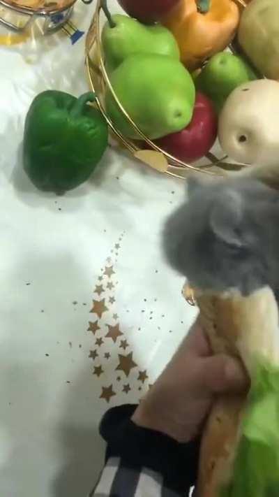 She will be a sandwich alhamdulillah