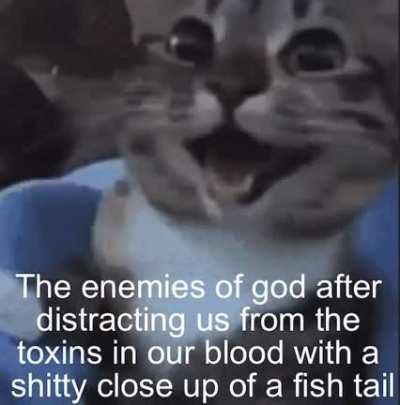 We are forgetting the real enemy