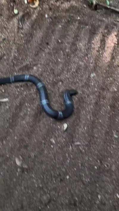 Don't let anyone guess your next moves