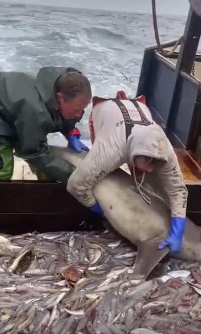 When you catch a little more than you bargained for