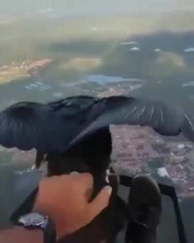 This is a magical moment with a vulture .