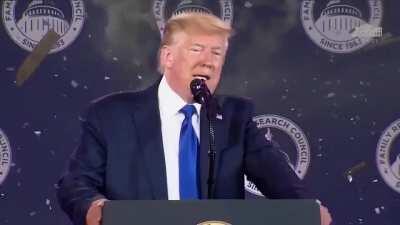 [FRESH] Donald J. Trump - Rain On Me