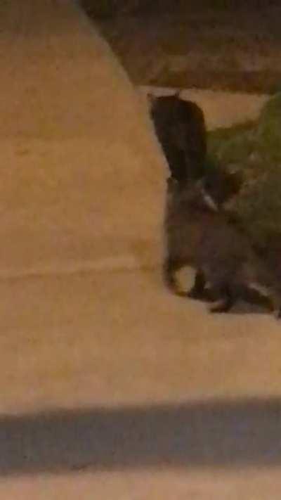 ye asked and ye shall recieve