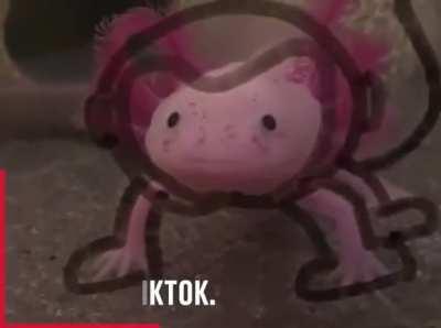 Well that’s bloody adorable