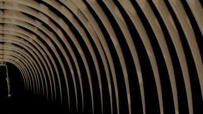 when the founder is sus 🤫👨‍🚀🐷🐷🐷😂