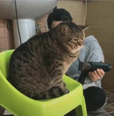 I wanna attempt to carry it.