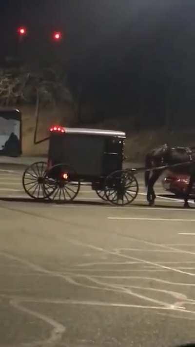 There's a big party inside ..