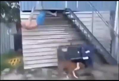 Intense workout routine with the neighbor's dog