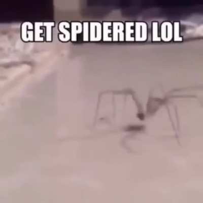 You just get stick bugged lmao