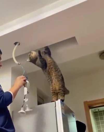 Safety Examiner and Fixer