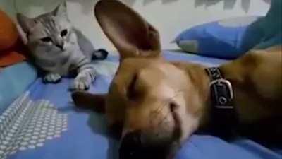 WCGW letting out some Gas?