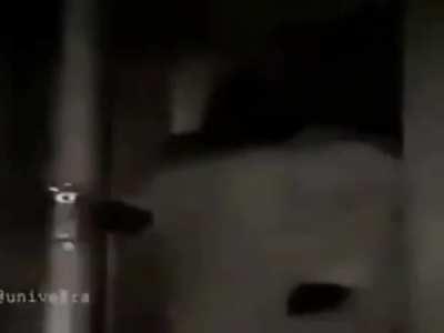 👉🏽🐈 🤑🛐