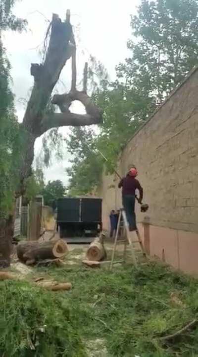 To do some gardening.