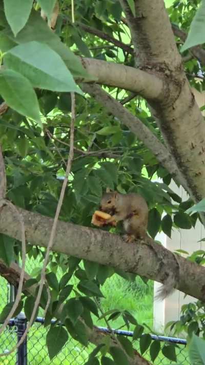 I was told this belonged here ~