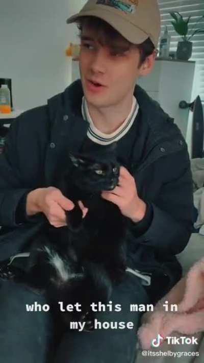 My new favorite tiktok vid; Wilbur playing with Shelby's cat, Starlord.