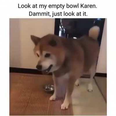 Someone got an attitude problem.