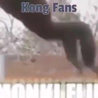 Iguana Radiactiva cómeme los huevos, arriba los monos