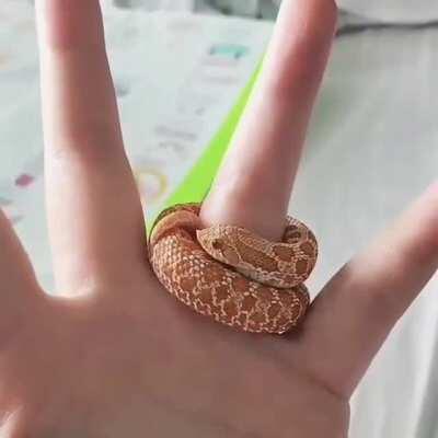 Omw to farm some maggots for my Sunbro cosplay