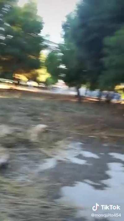 La mayor corrida de mi vida 😳👌