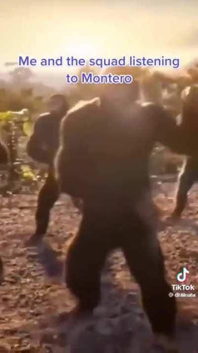 Monkey x Lil nas 🐒🏳️‍🌈