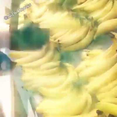 icon, he is the moment