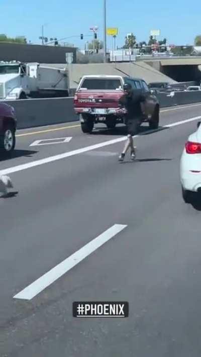 People on Freeway stop to help lost puppy running into traffic