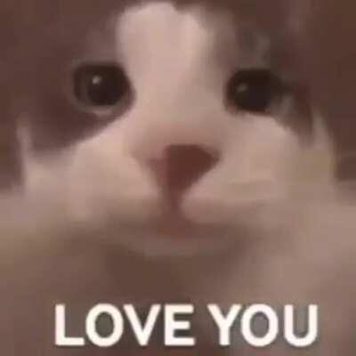 Indeed I do ❤❤❤