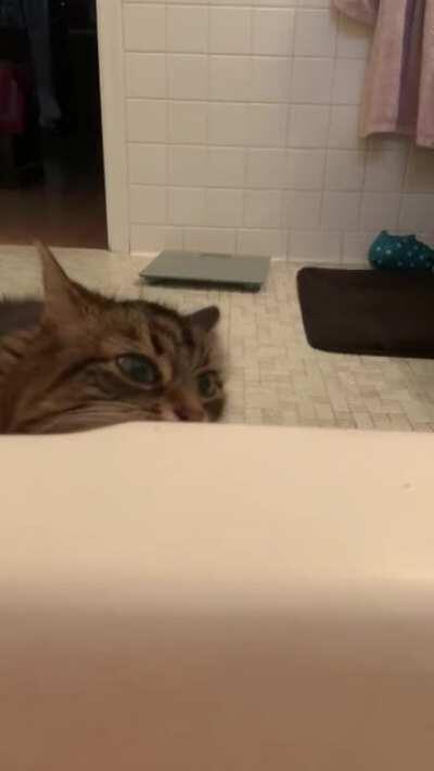 Loona licking the bathtub and yelling.