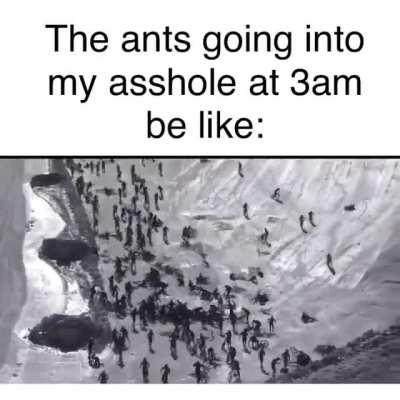 I think it belongs here