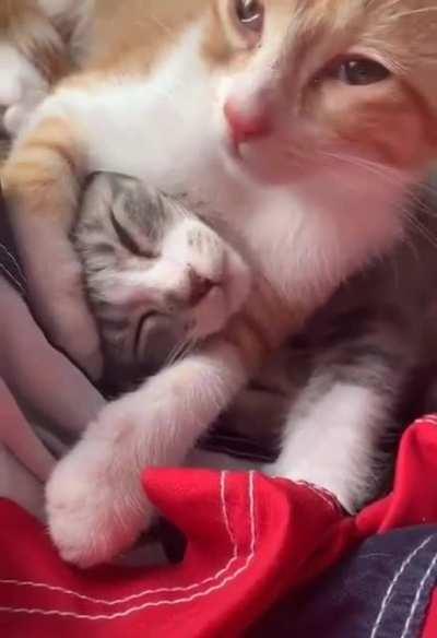 He is in one of his moods.