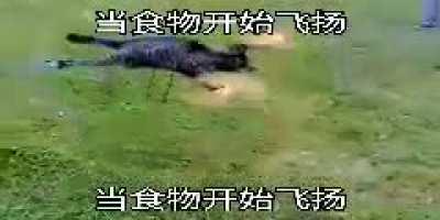 The Chinese kid in robotics class: