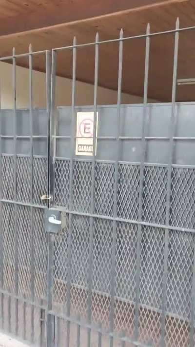 Estacionan dónde se les canta y se hacen los poronga