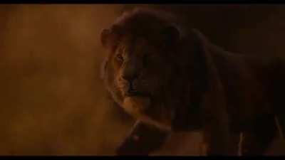 Since we heard Suhana Khan's voice here is Aryan from the 2019 lion king movie. He sounds just like SRK.