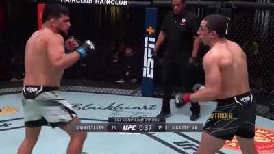 Robert Whittaker’s sneaky head kick