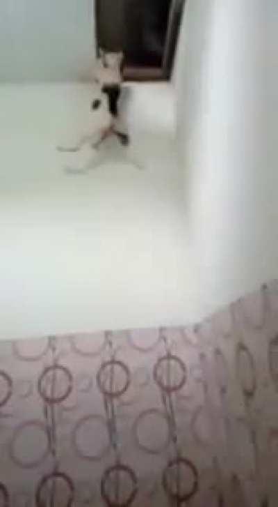 i dont know how to caption this