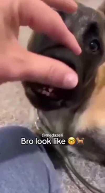 Credits to Baseballidiot on reddit 