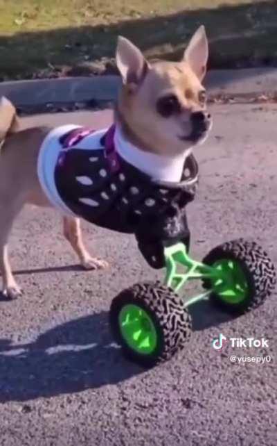 en que tienda lo vendran?