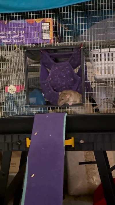 Paul is scared of the world but I still love him