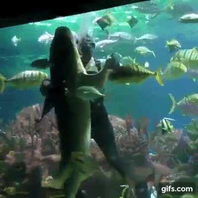 May I have this dance?