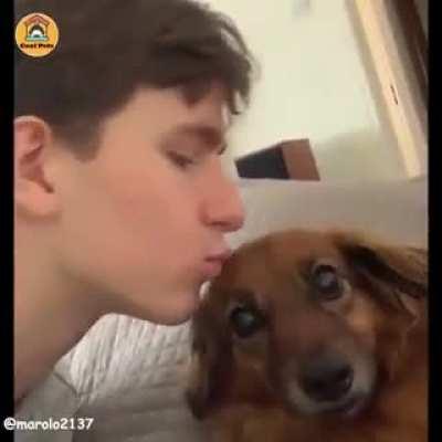 Please, kiss your dogs