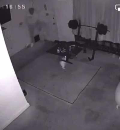 to come home to your 