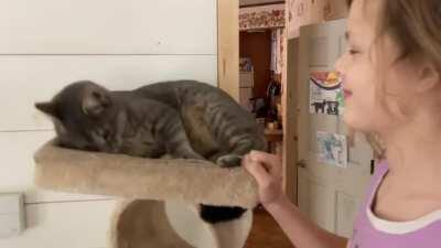 Watch it wiggle, see it jiggle...