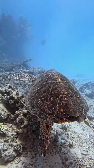 Sometimes you move slowly because you're carrying wisdom