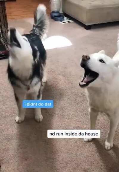 Mom, Mater step in poo