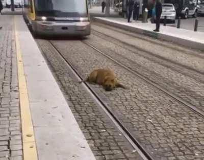 Lost the will to live