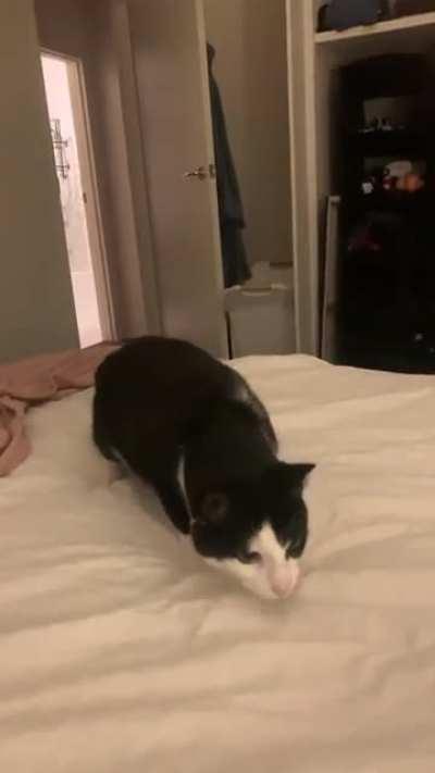 That escalated quickly