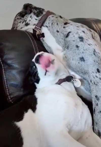 Good assassin trading, let them gain confidence and then go for it!