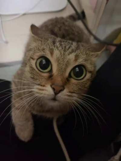 Literally Disney eyes