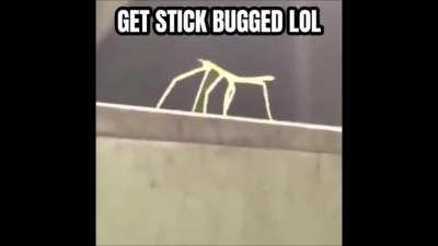 I'm Just Gonna Leave This Here.